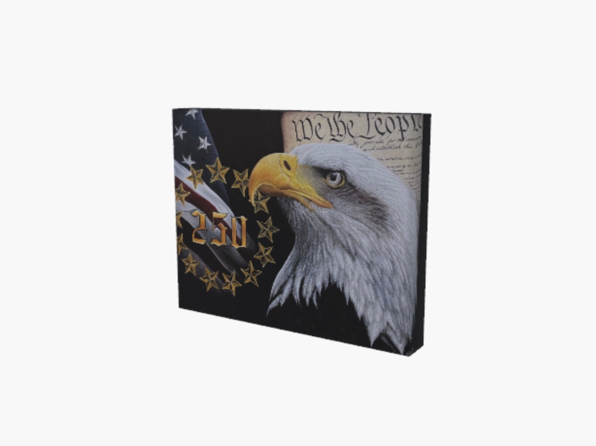 America 250th Anniversary Print