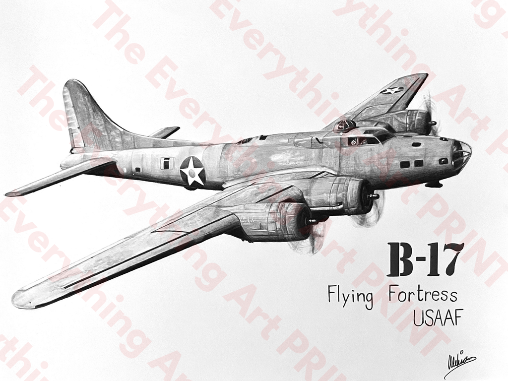 B-17 Print