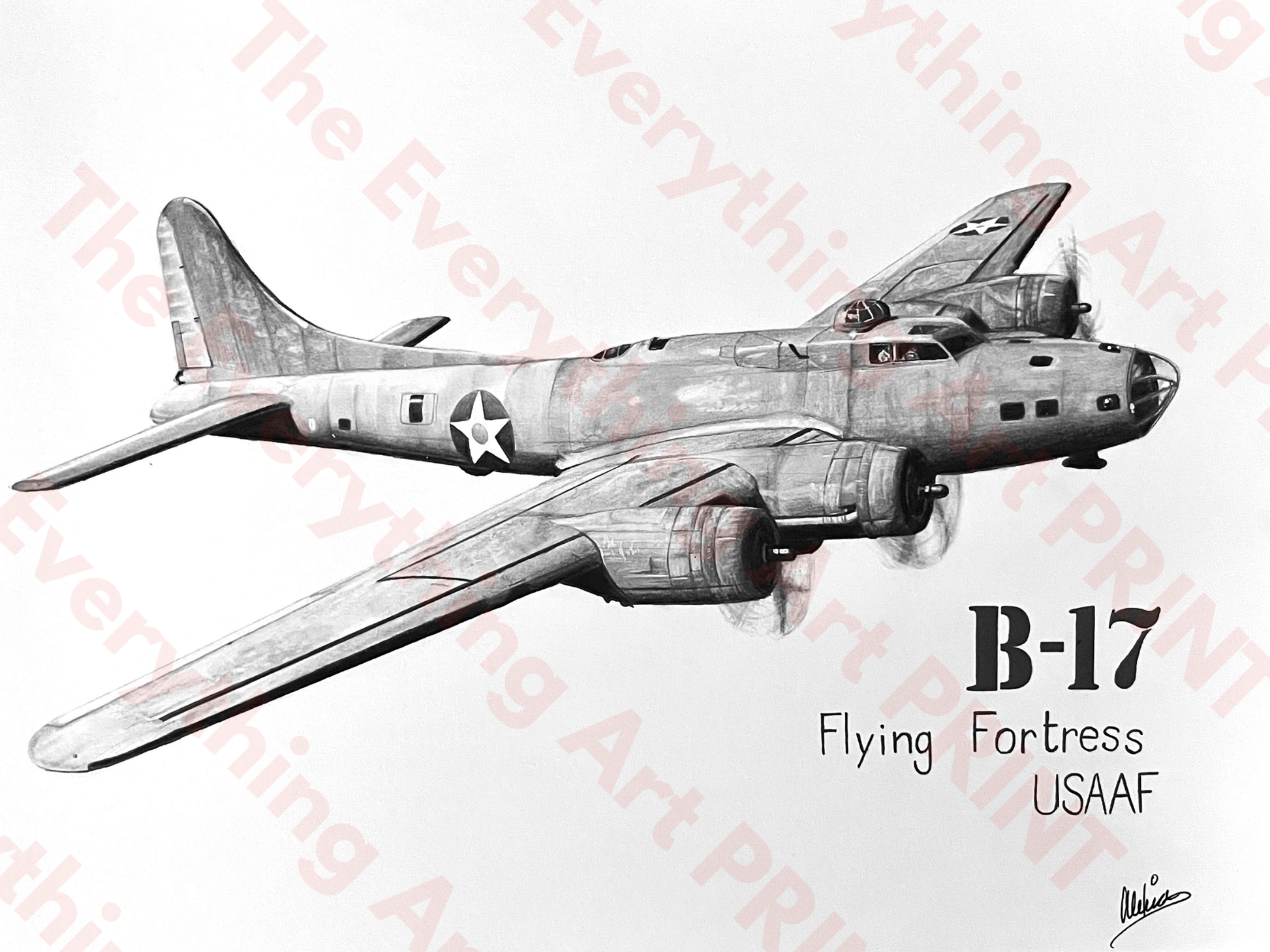 B-17 Print