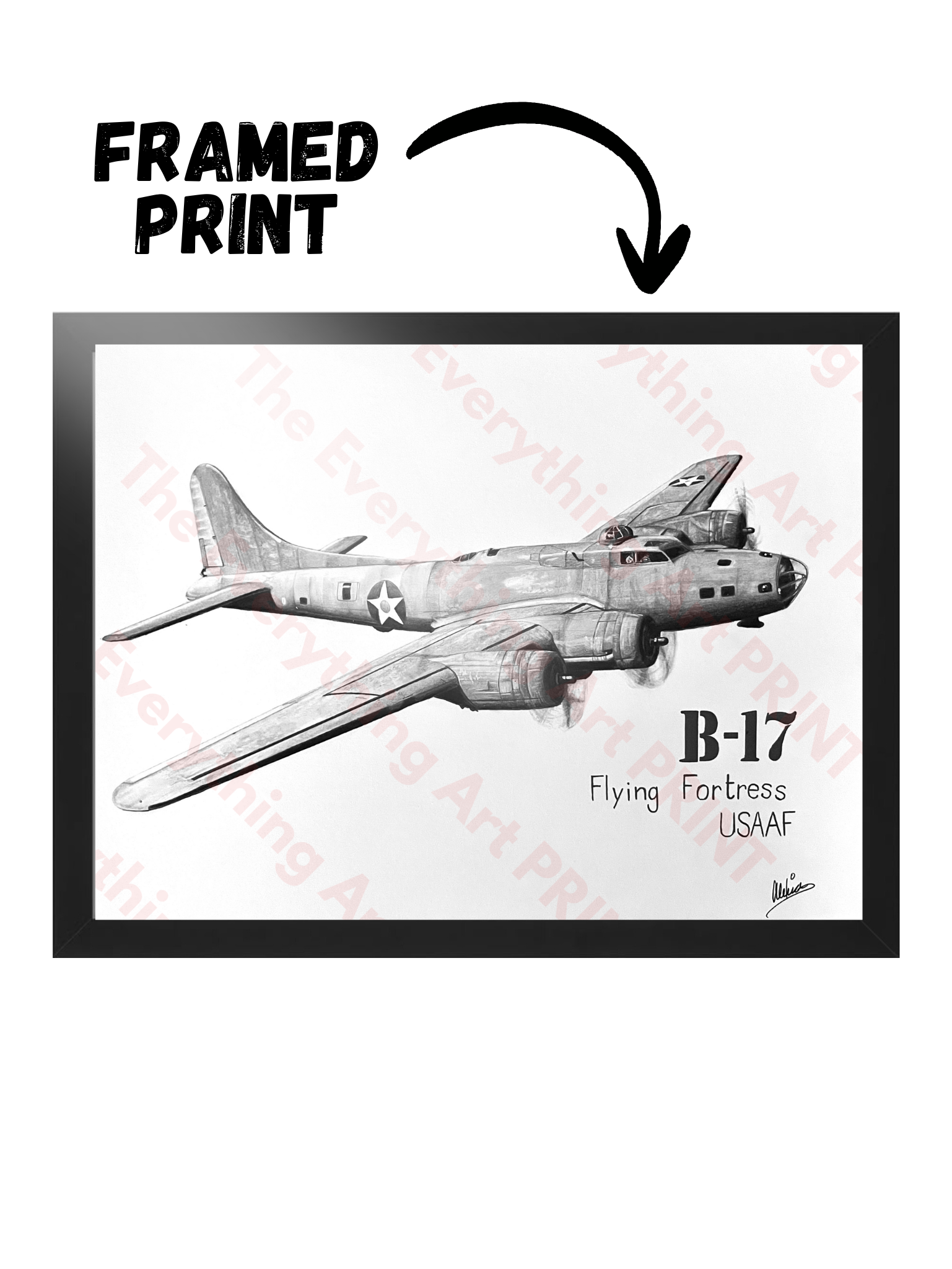 B-17 Print