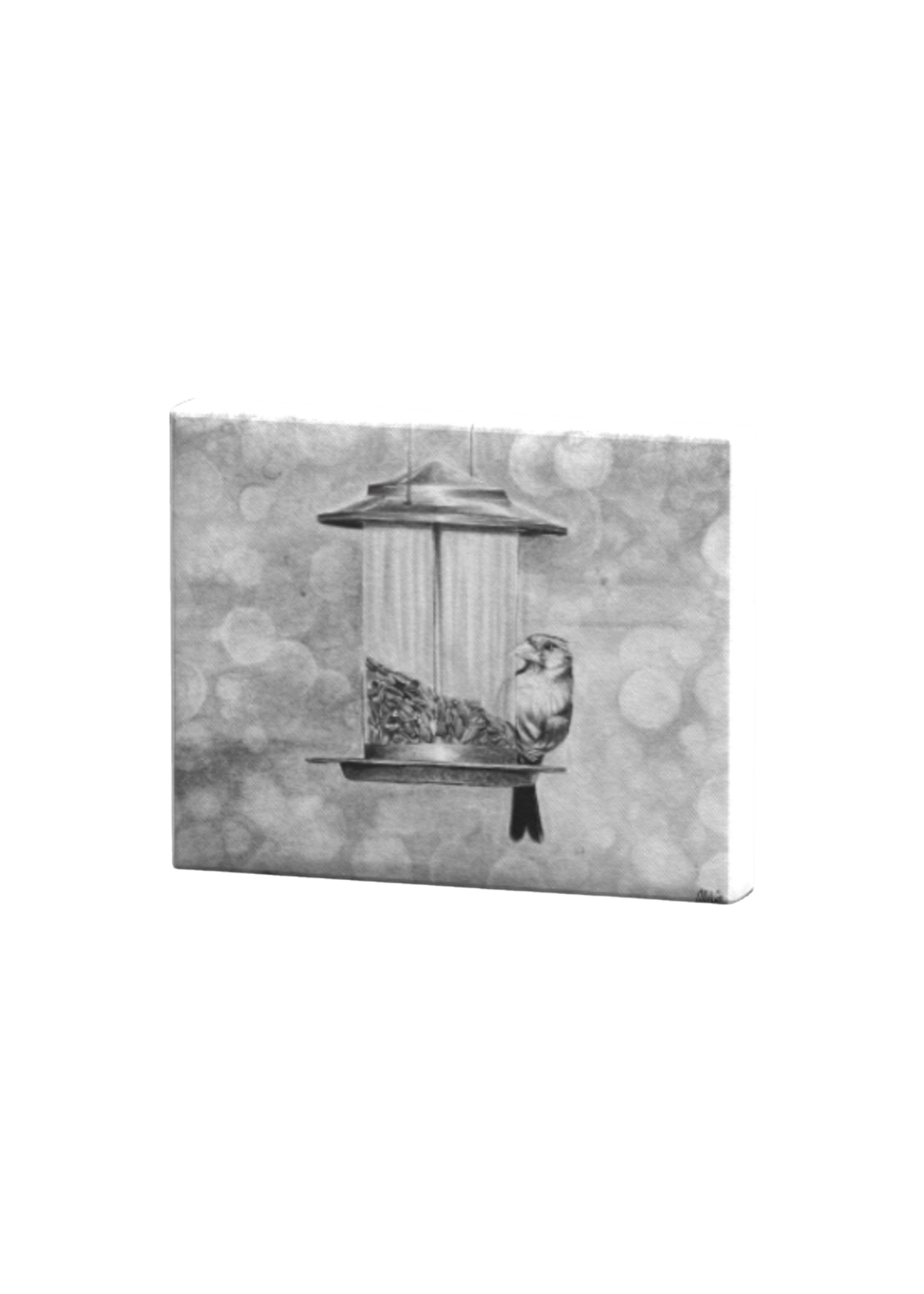 Bird on the Feeder Print