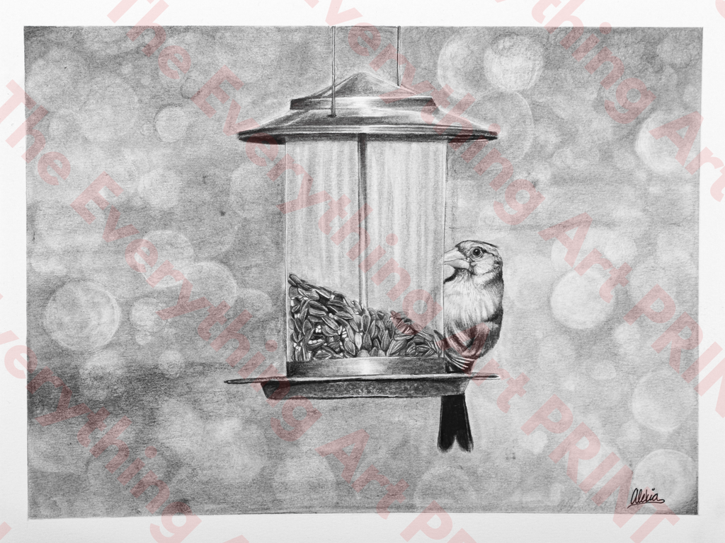 Bird on the Feeder Print