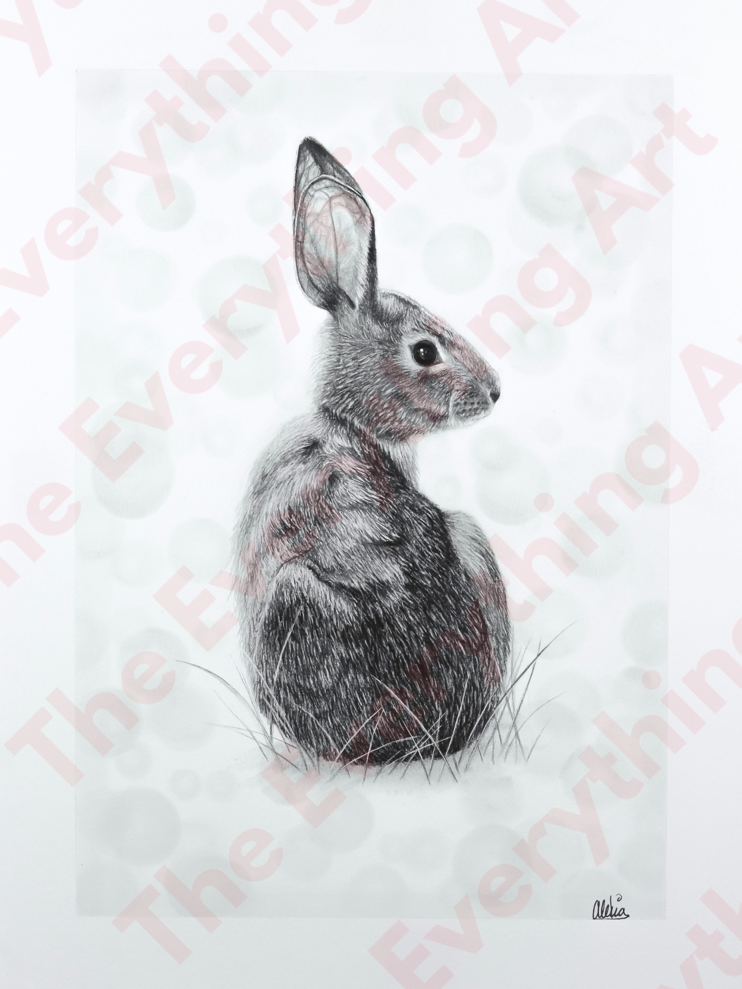 Realistic Bunny