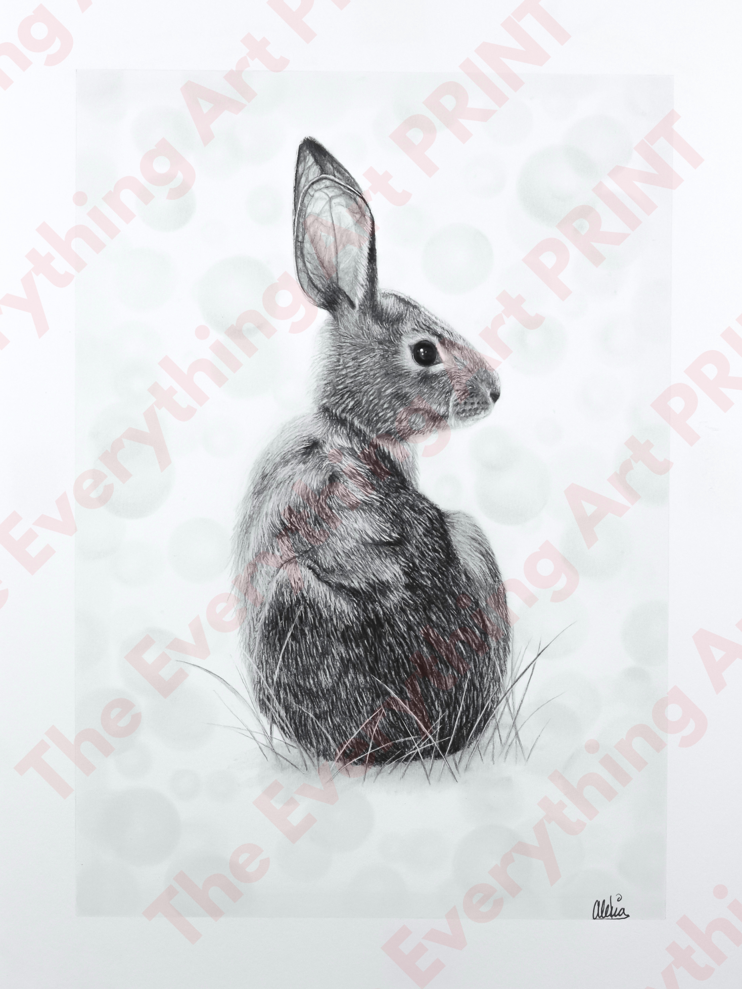 Realistic Bunny Print