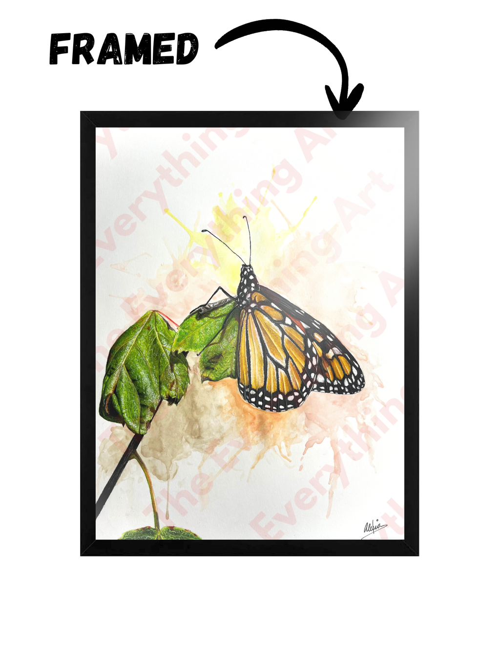 Butterfly