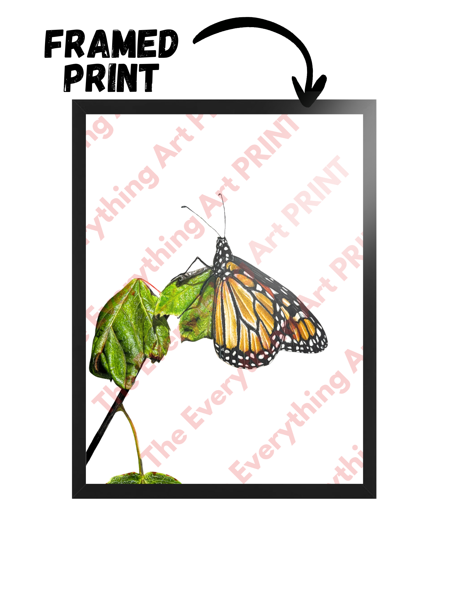 Butterfly Print