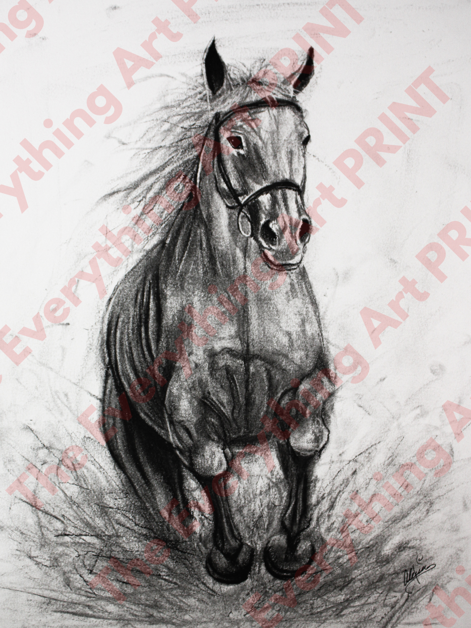 Charcoal Horse Print