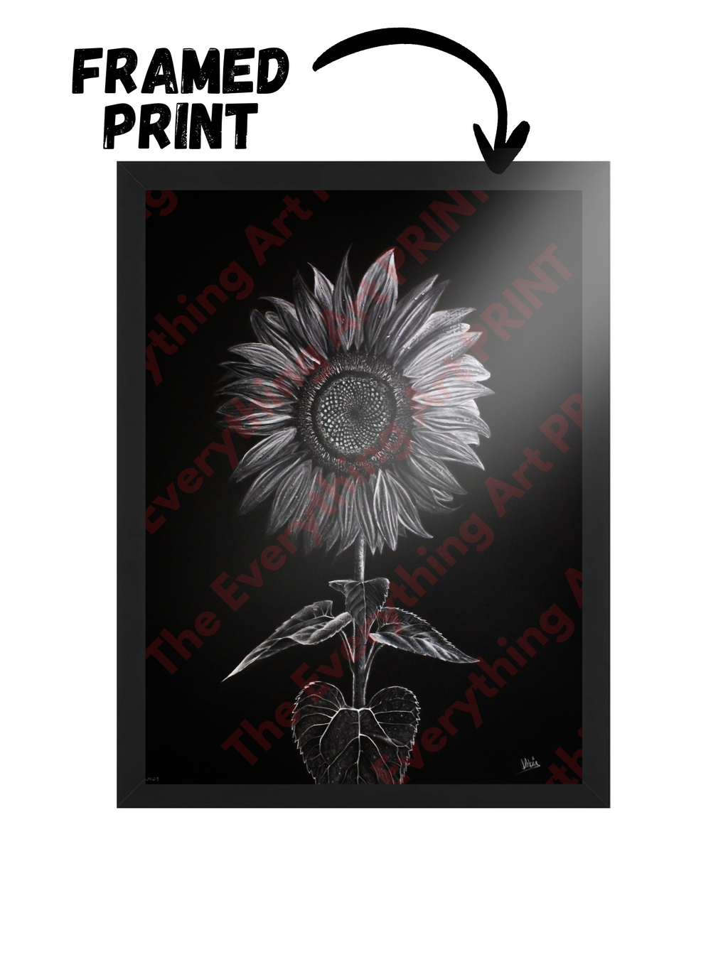 White Charcoal Sunflower Print