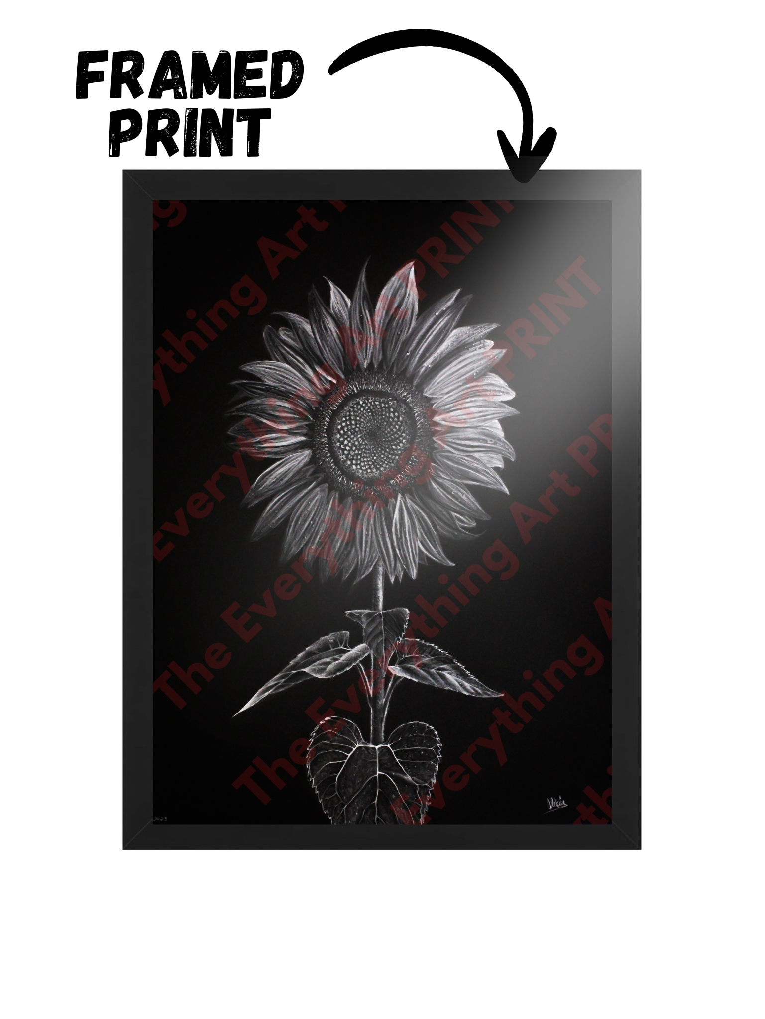 White Charcoal Sunflower Print