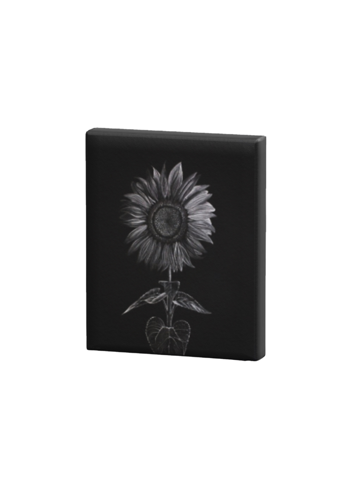 White Charcoal Sunflower Print