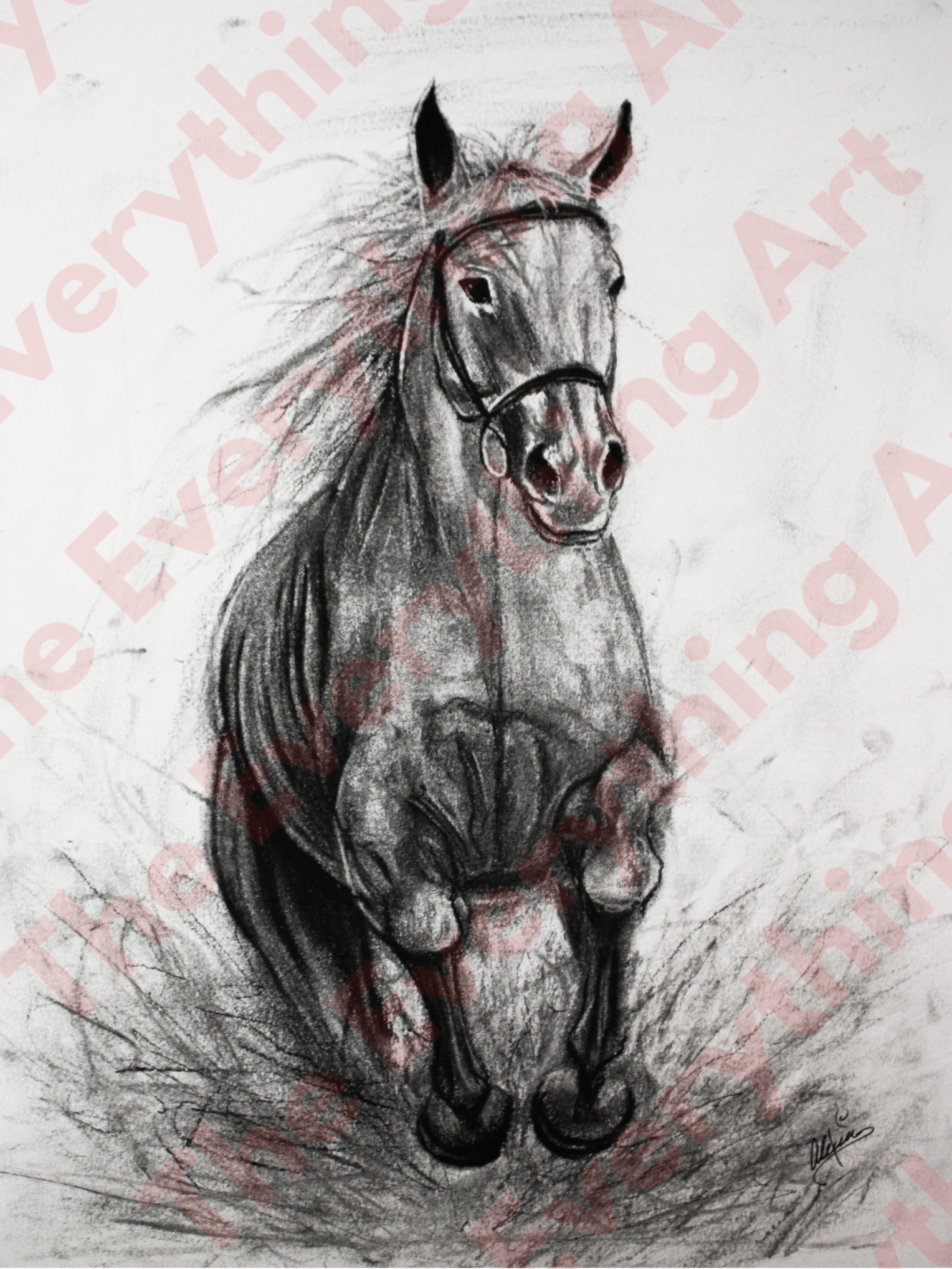 Charcoal Horse