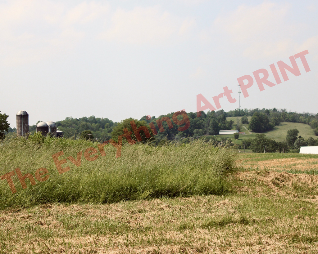 Country Landscape