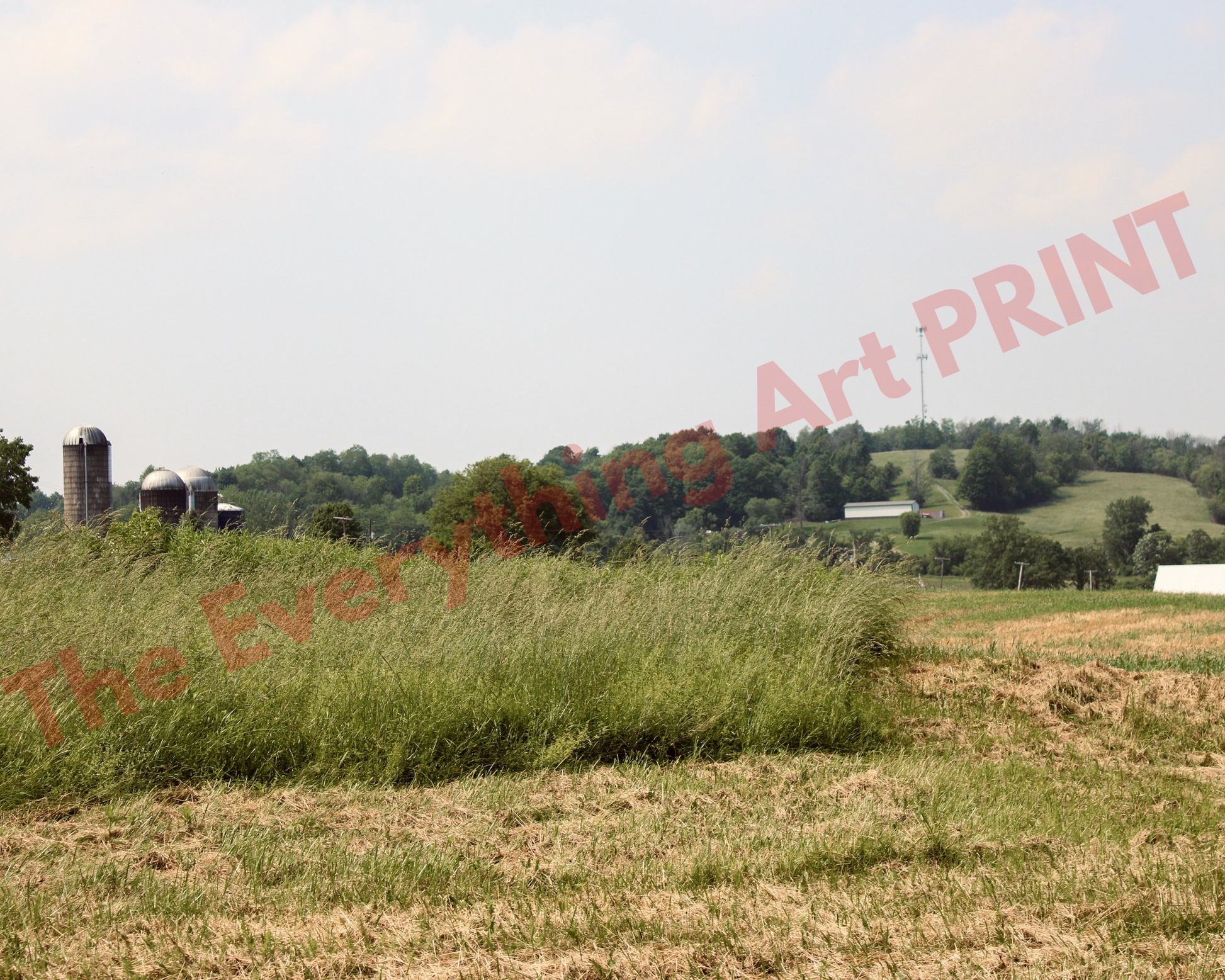 Country Landscape