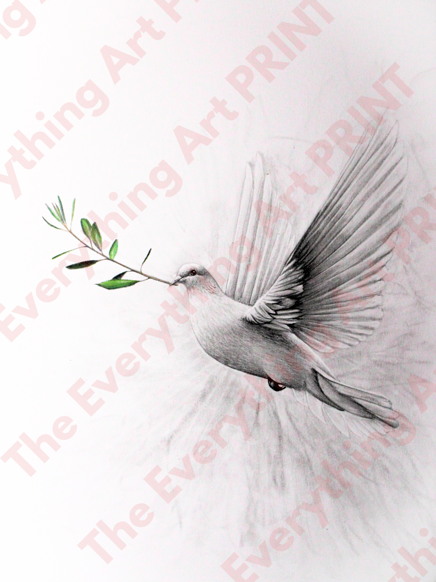 Dove Print
