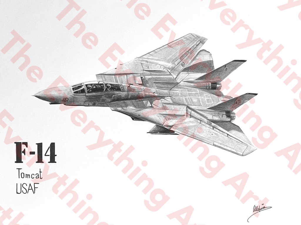 F-14 Tomcat