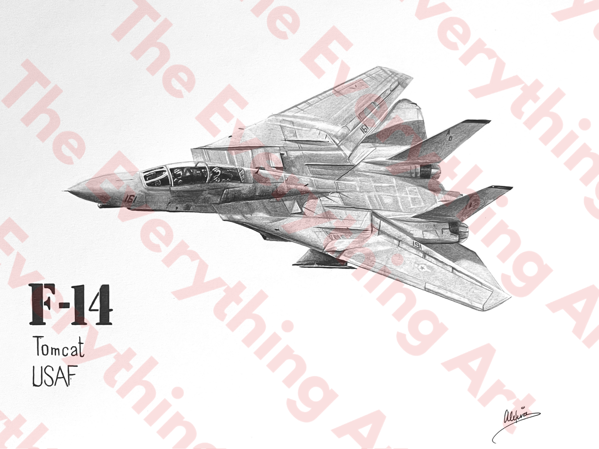 F-14 Tomcat