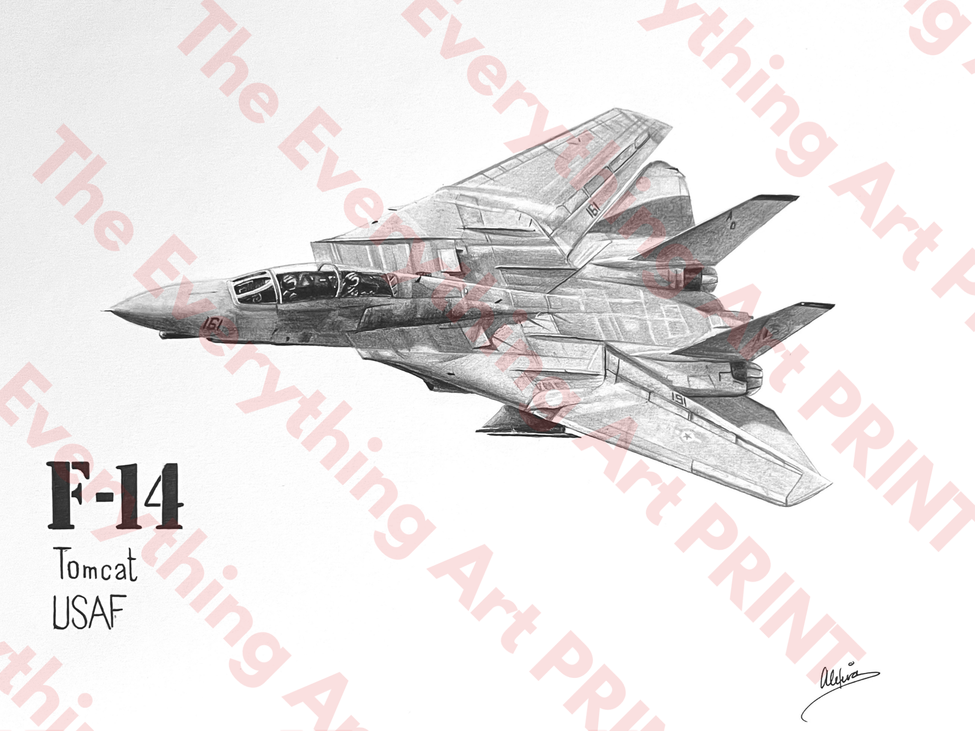 F-14 Tomcat Print