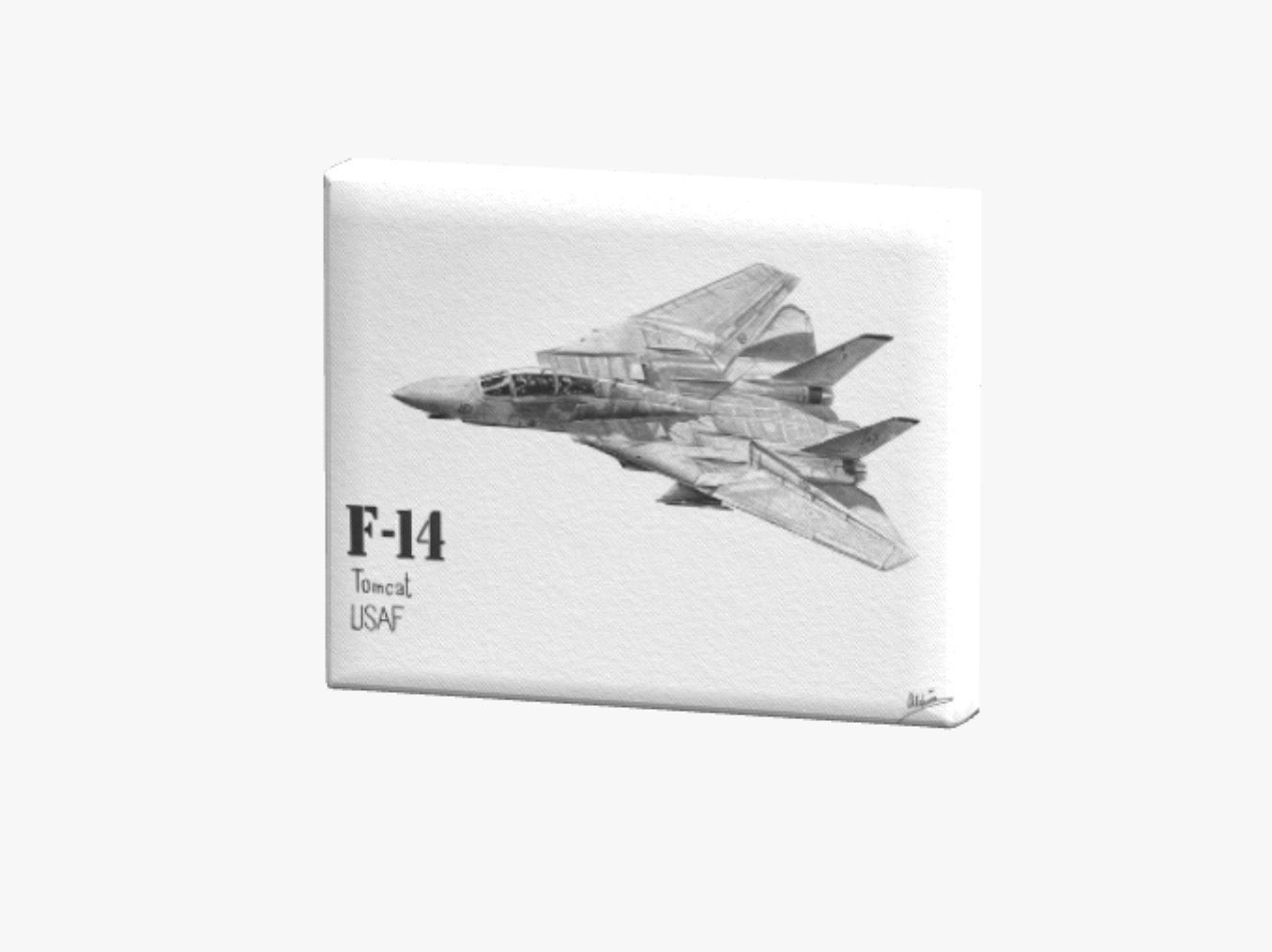 F-14 Tomcat Print
