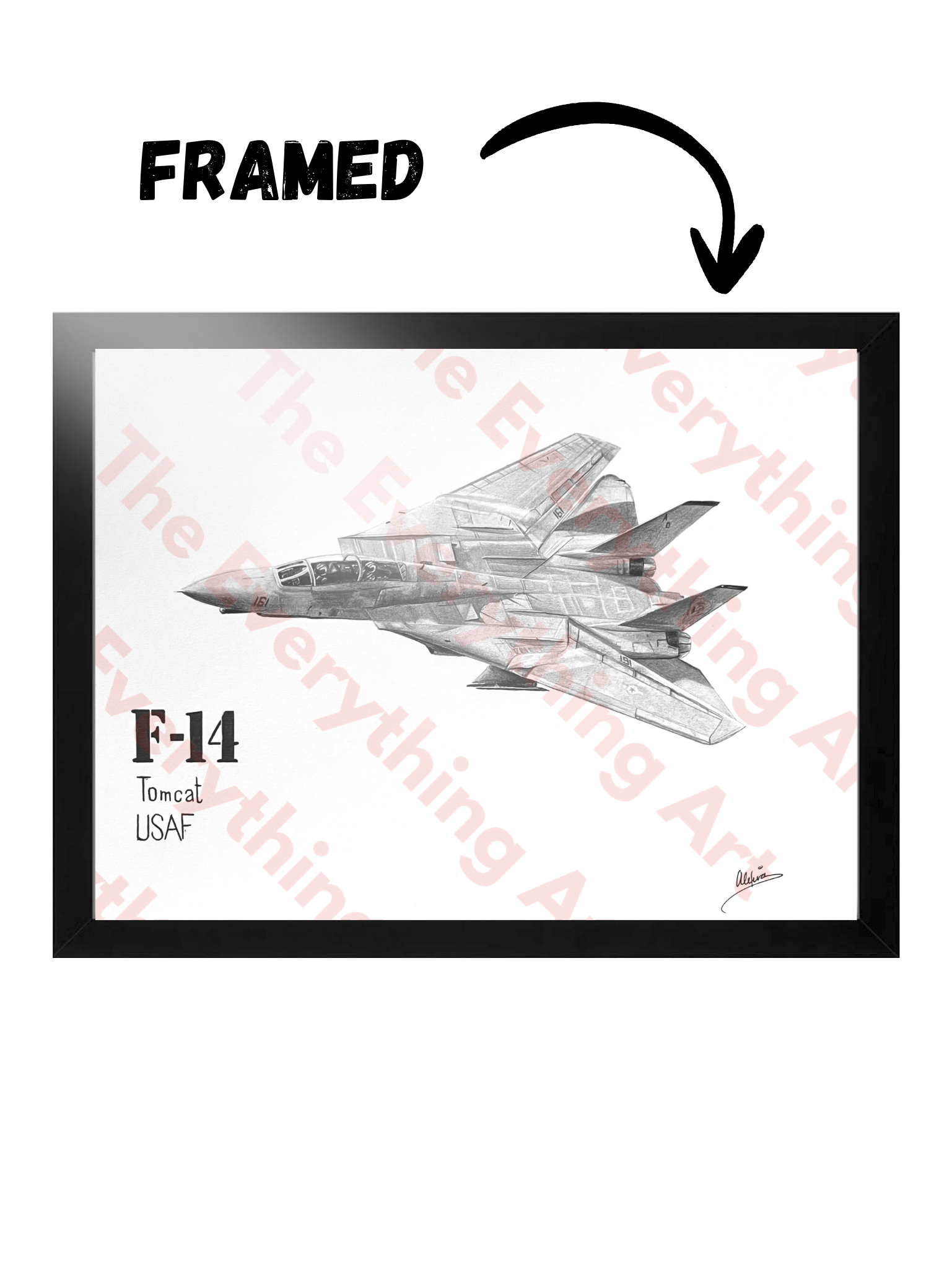 F-14 Tomcat