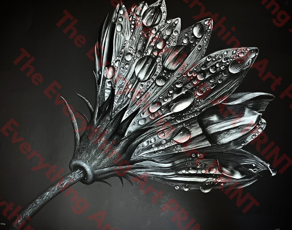 Sunflower in the Rain Print