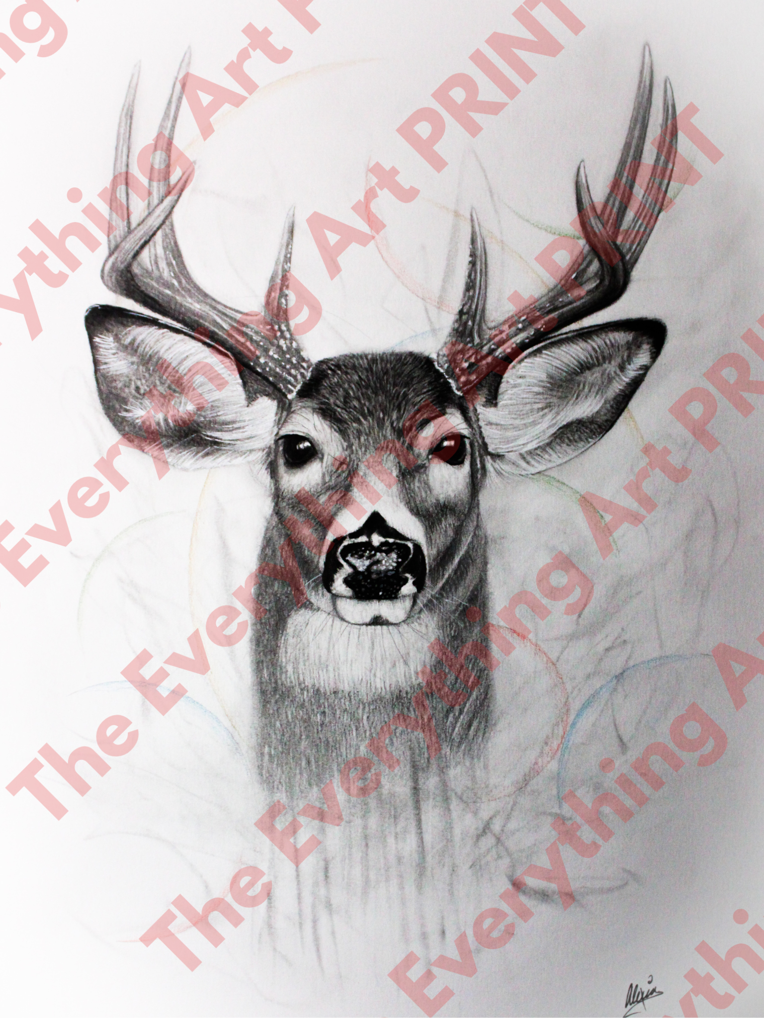 Realistic Buck Print