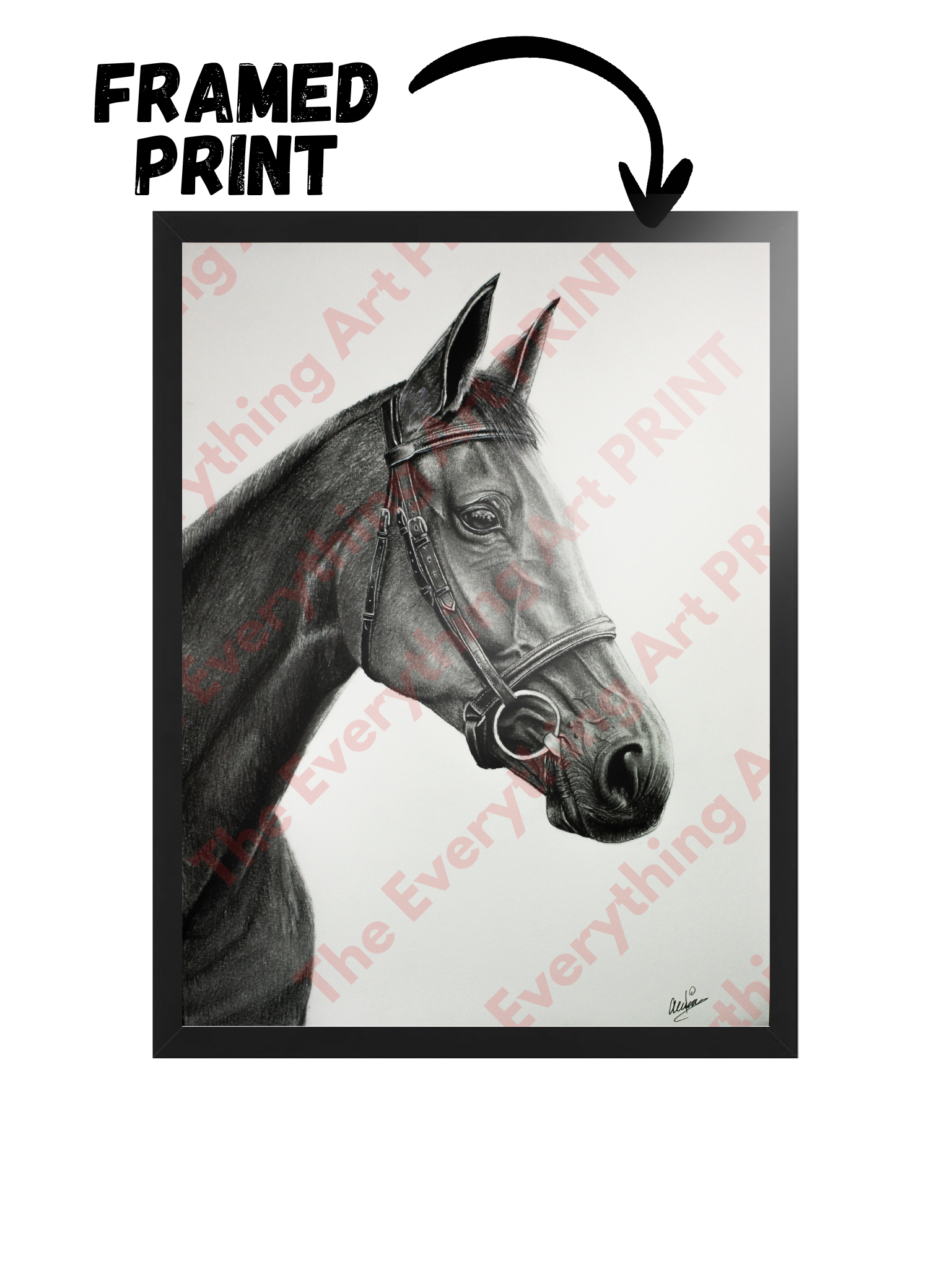Graphite Horse Print