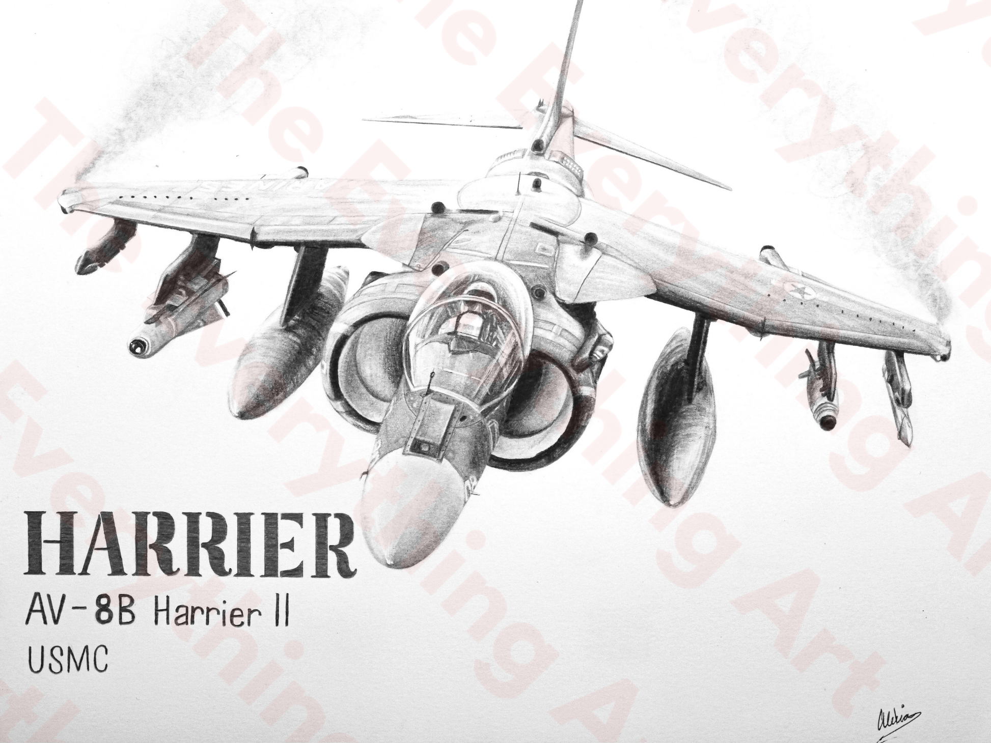 Harrier Jet