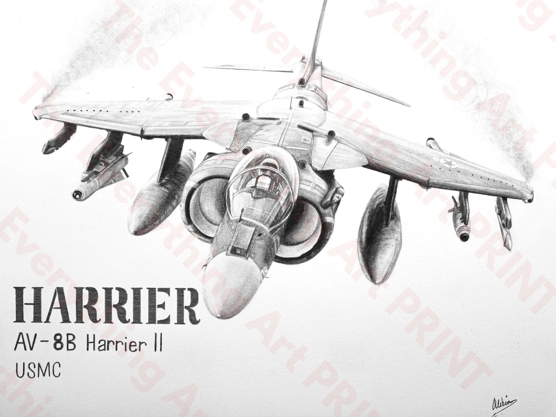 Harrier Jet Print