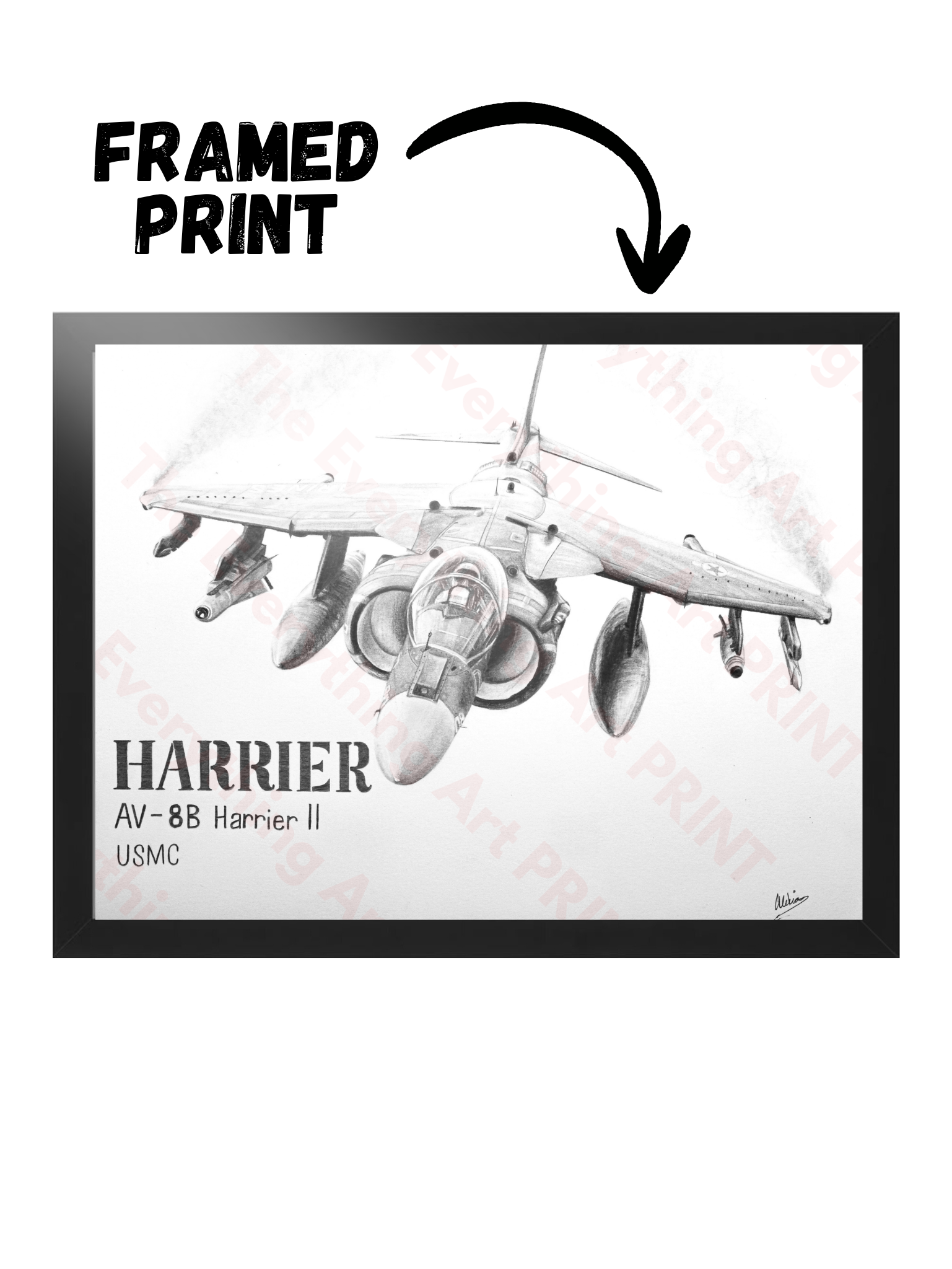 Harrier Jet Print