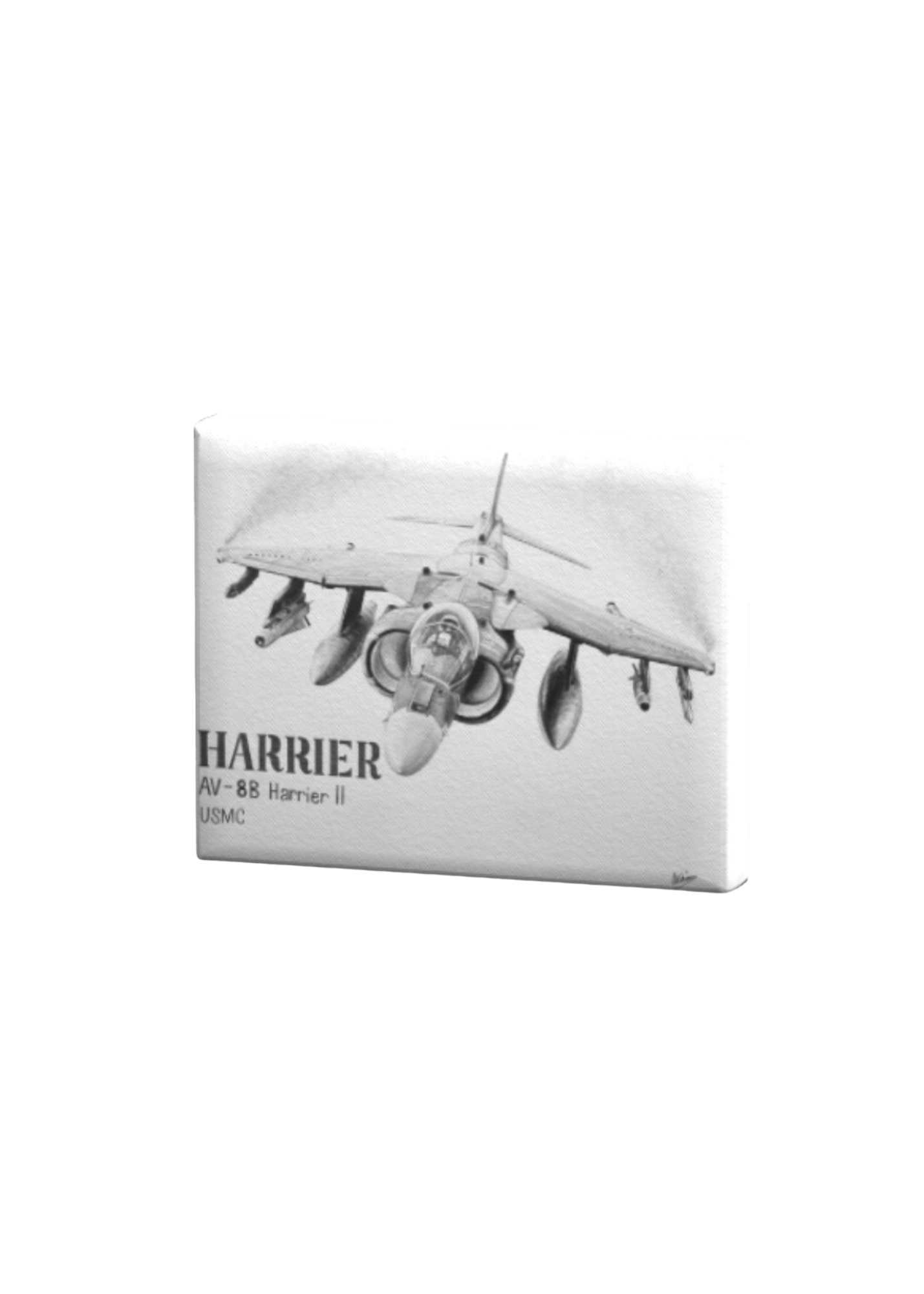 Harrier Jet Print