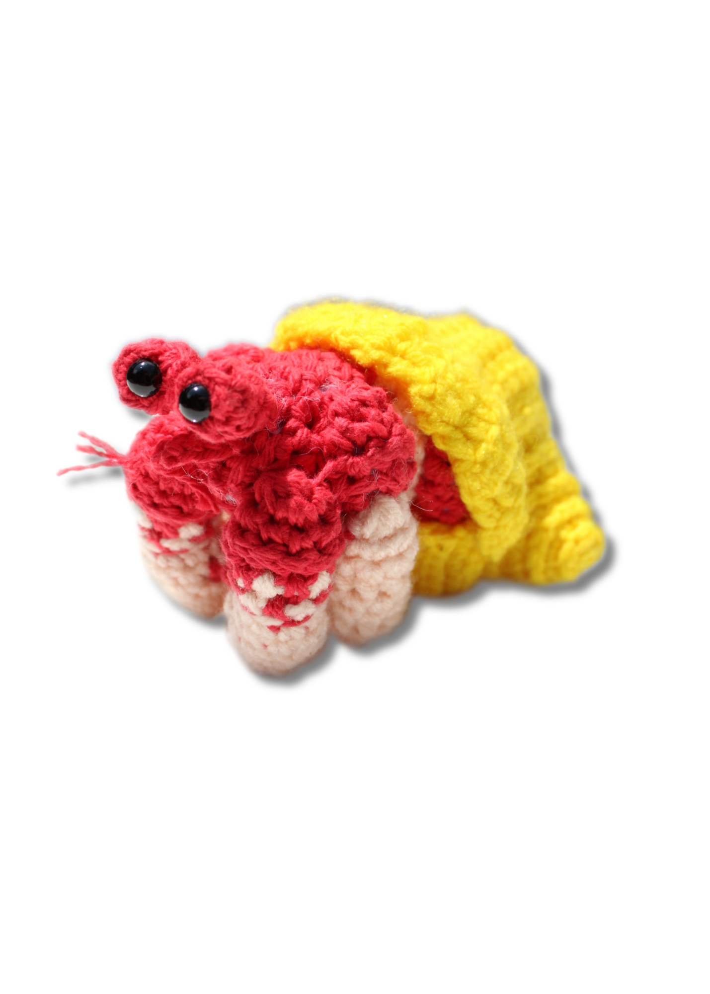 Hermit Crab
