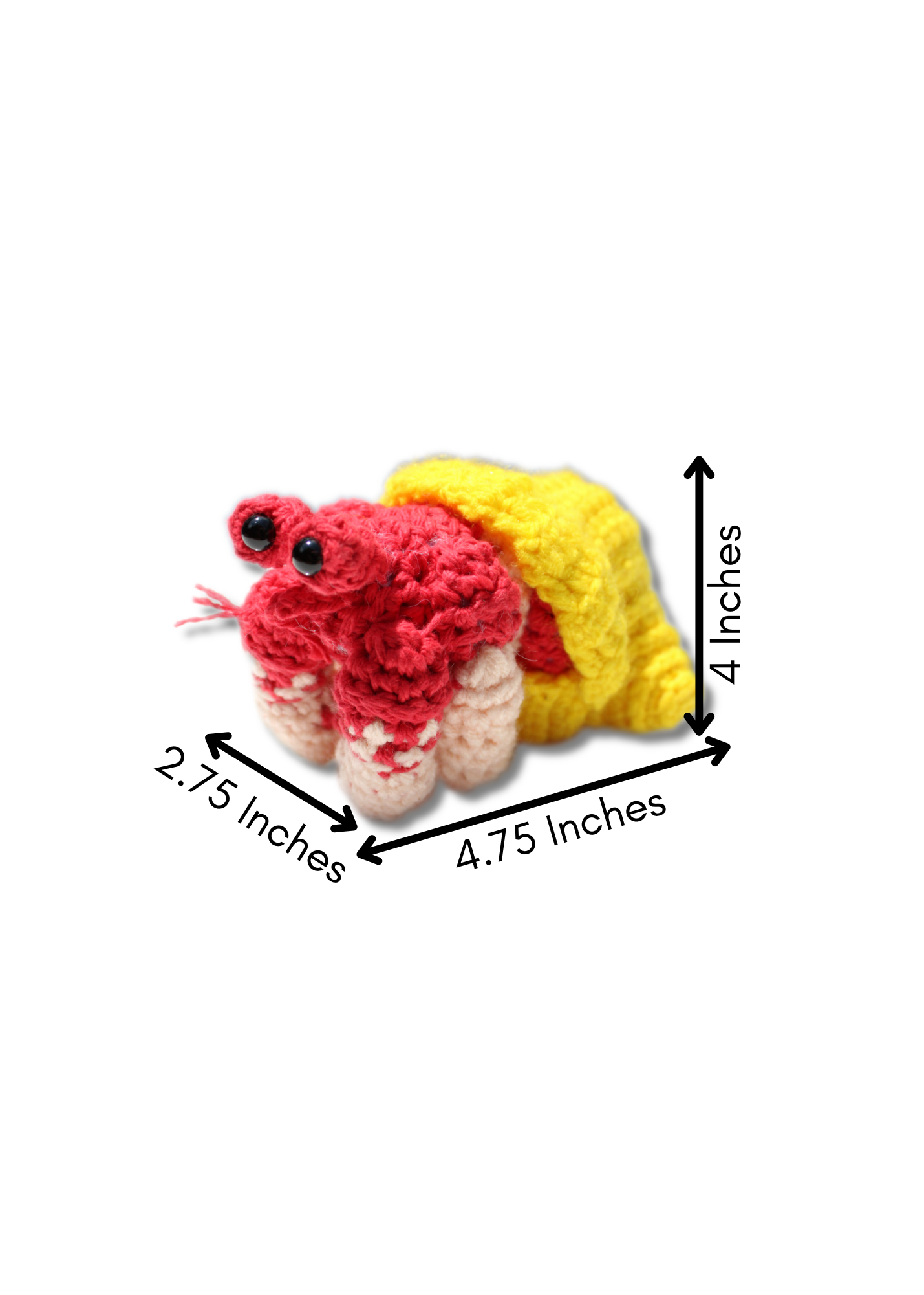 Hermit Crab