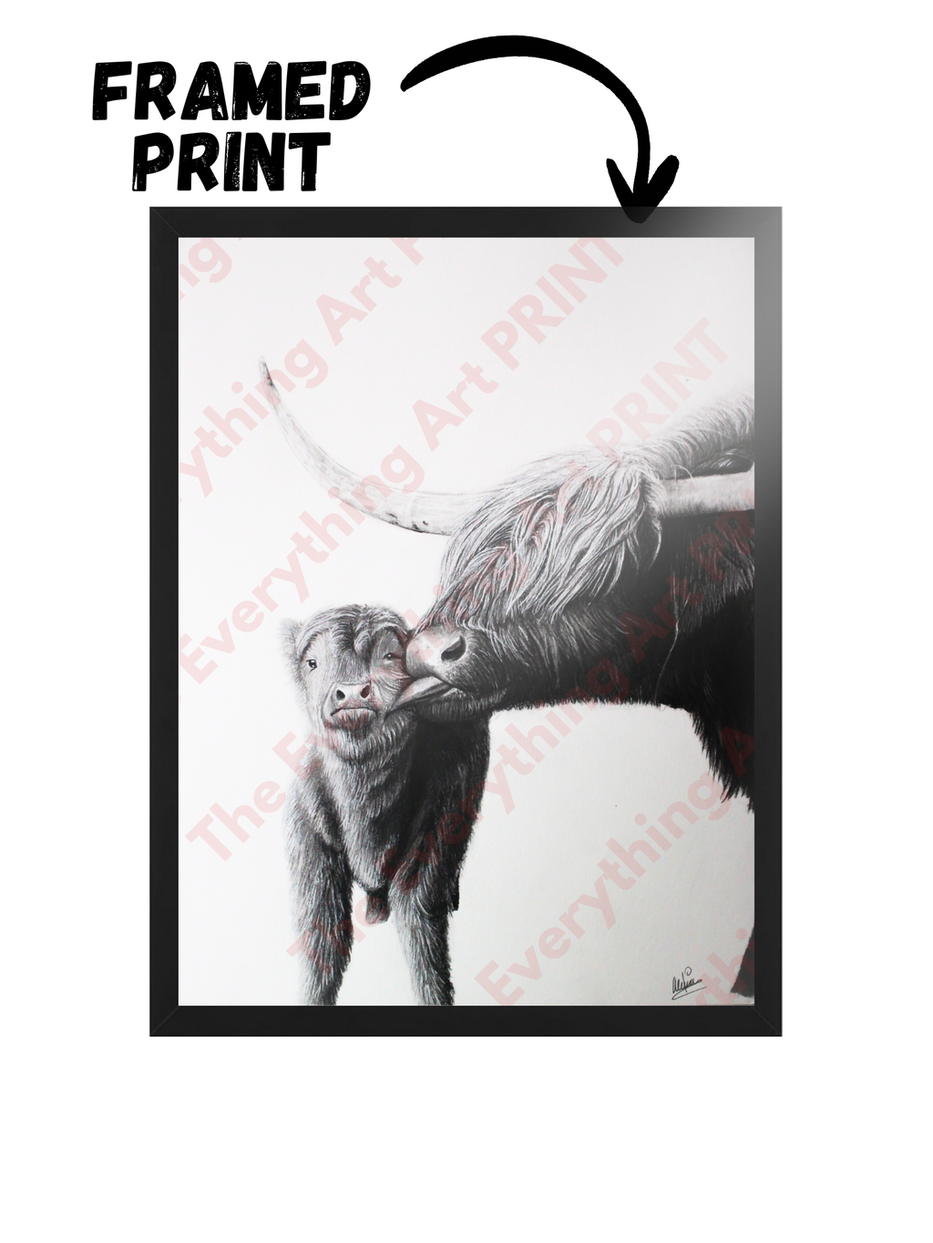 Highland Cows Print