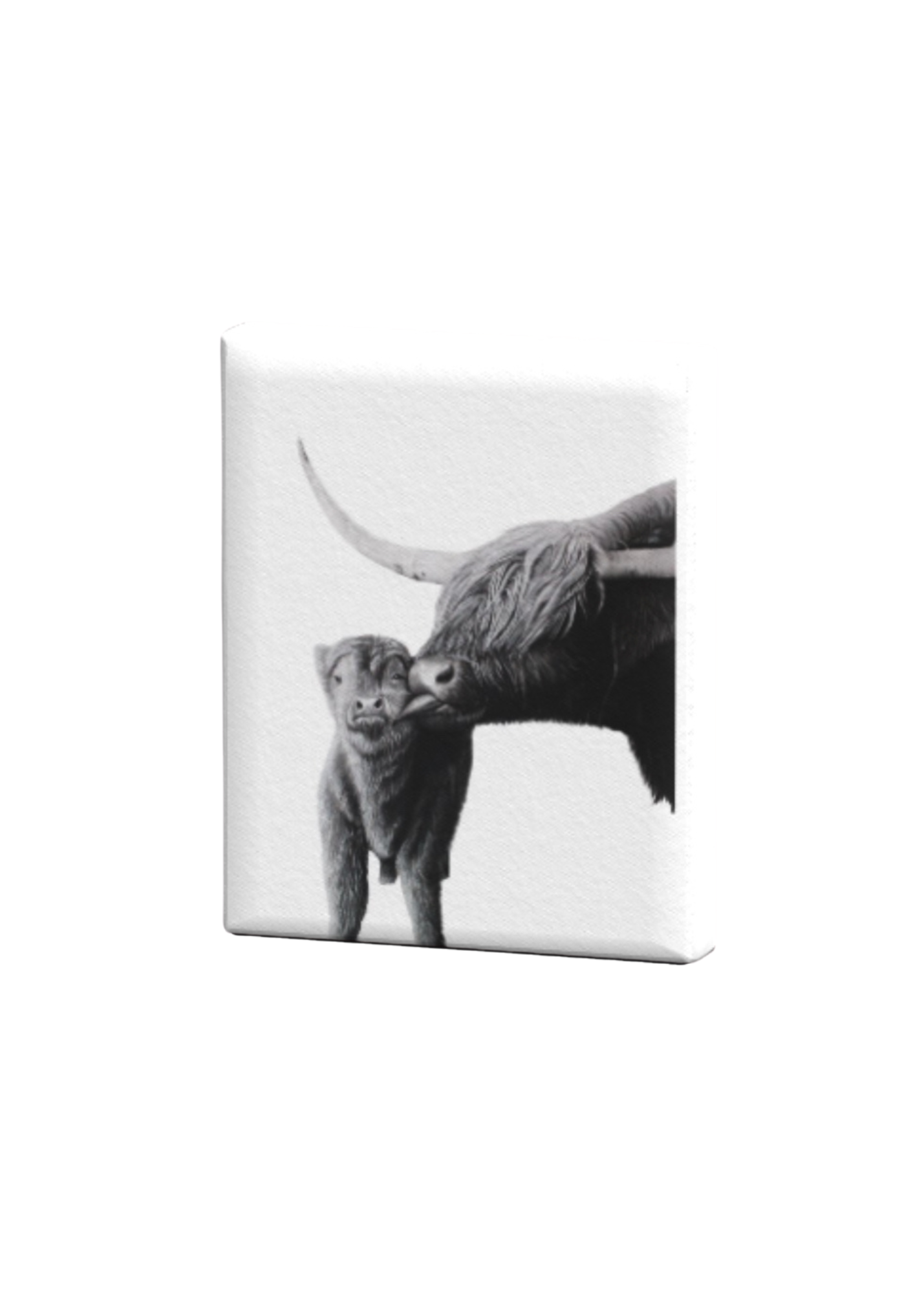 Highland Cows Print