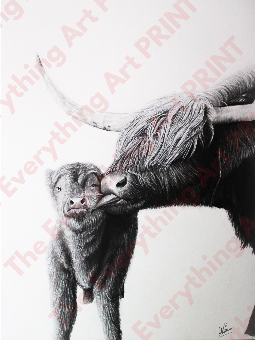 Highland Cows Print