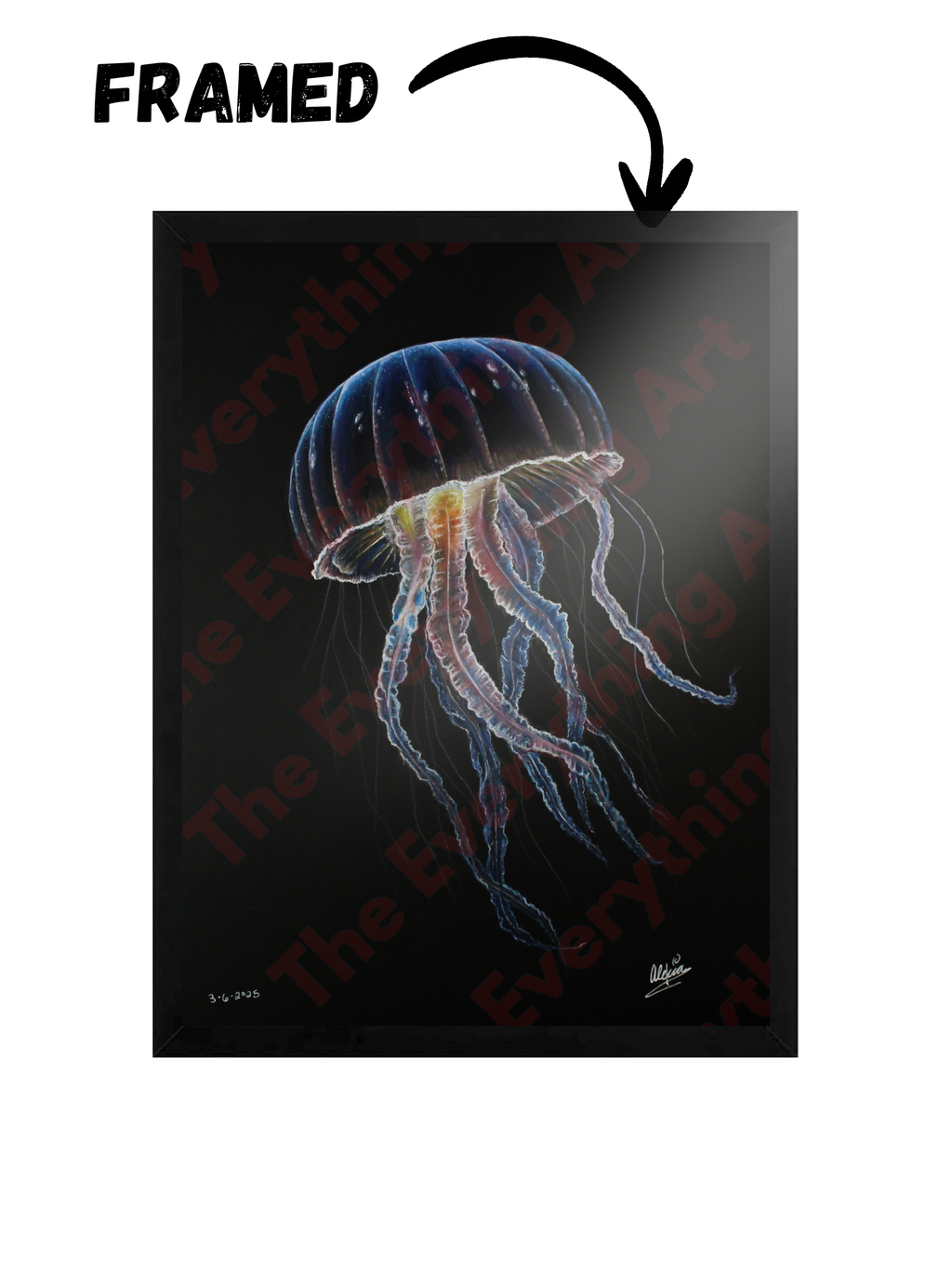 Jellyfish