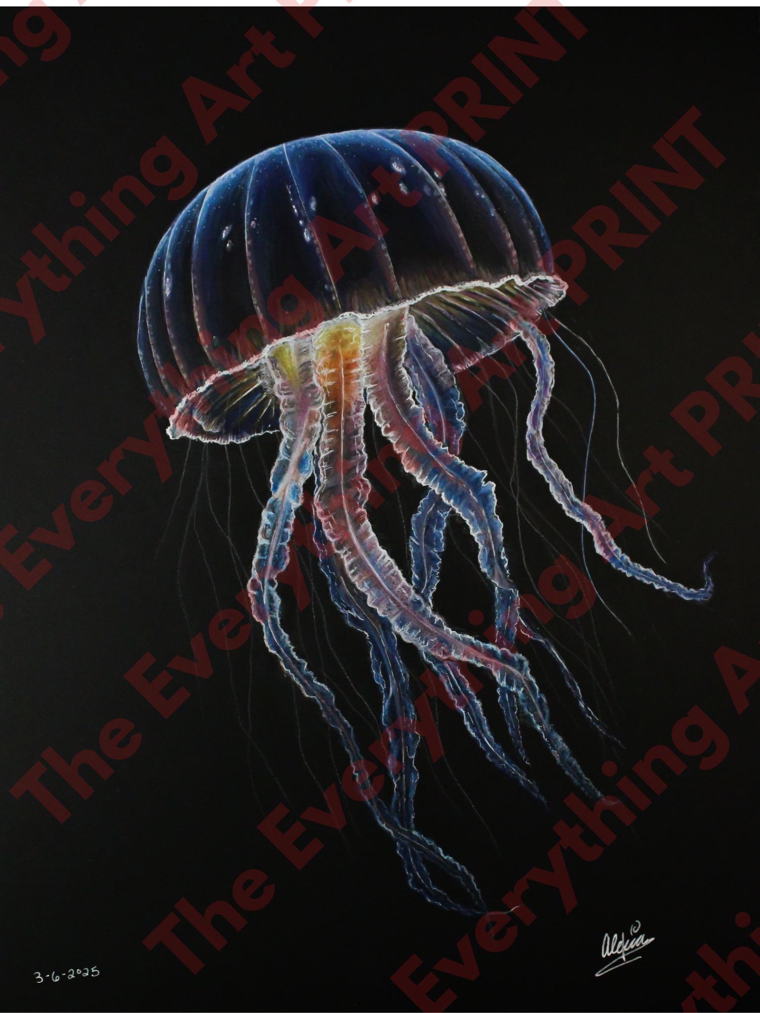 Jellyfish Print