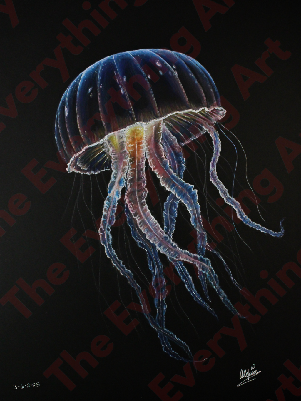 Jellyfish