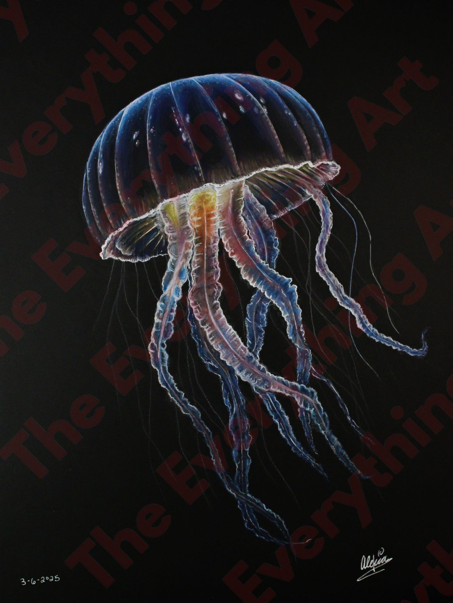 Jellyfish