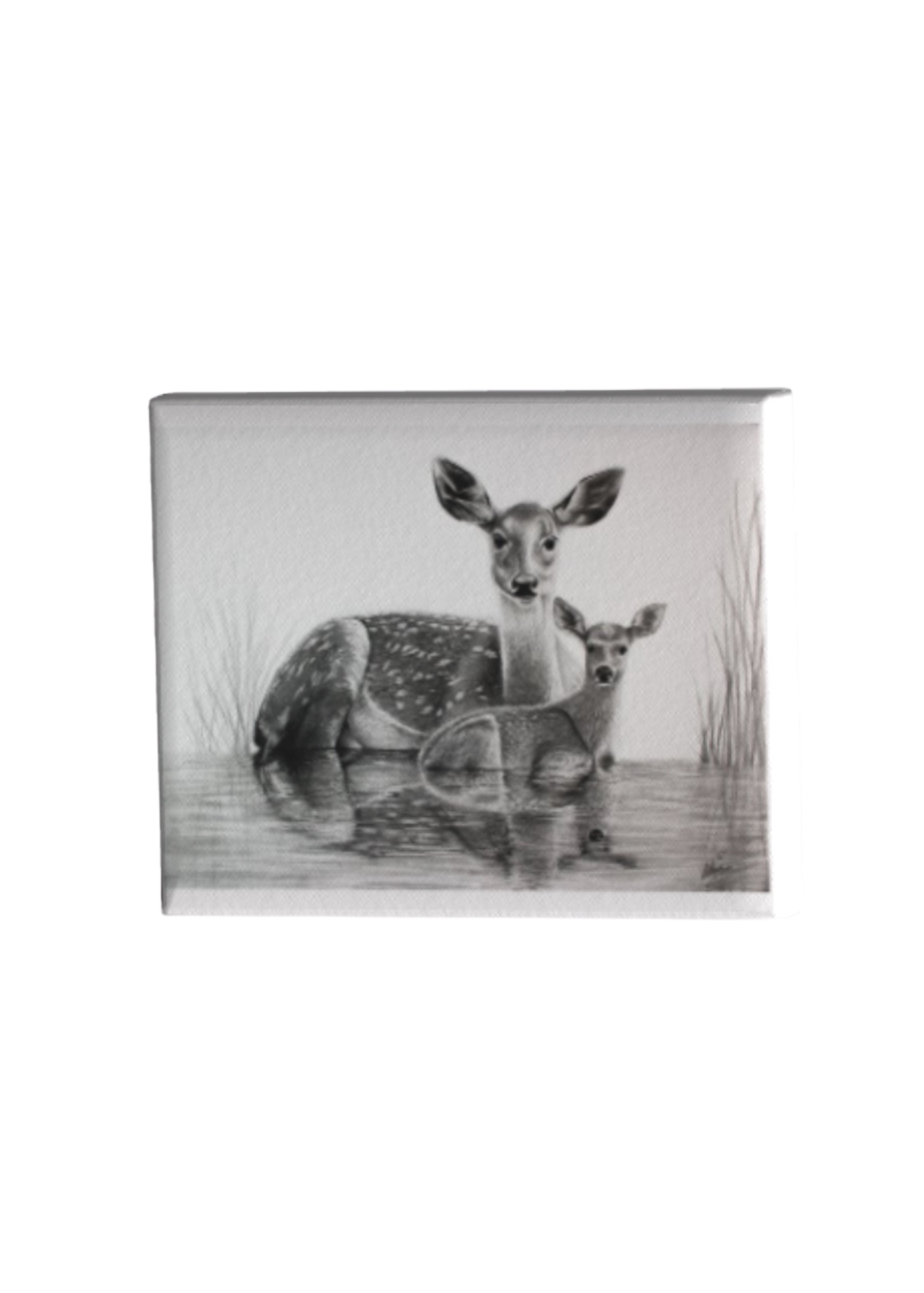 Momma and Baby Deer Print