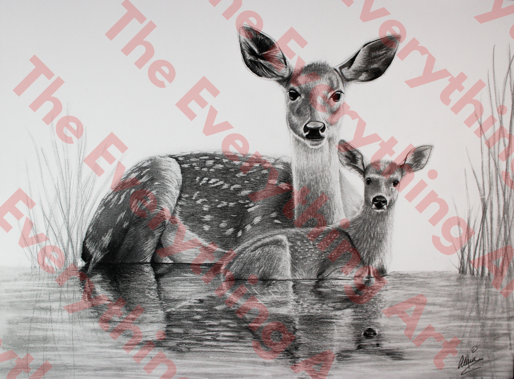 Momma and Baby Deer