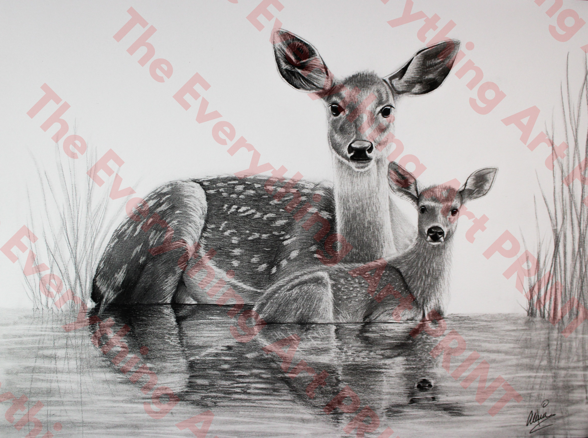 Momma and Baby Deer Print