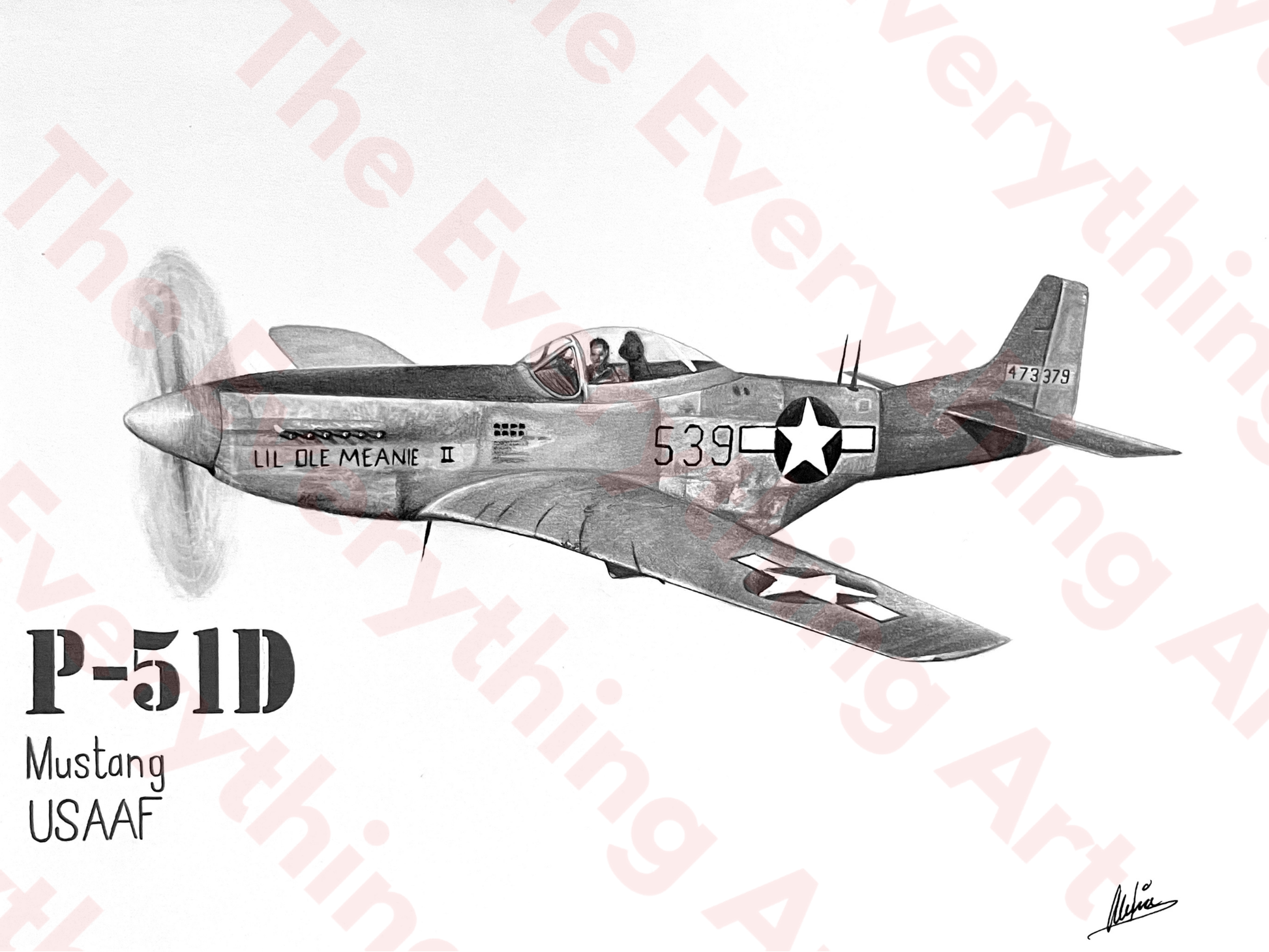P-51D Mustang