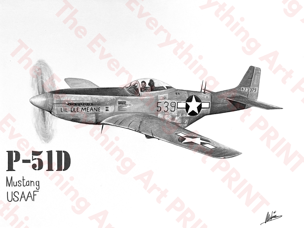 P-51D Mustang Print