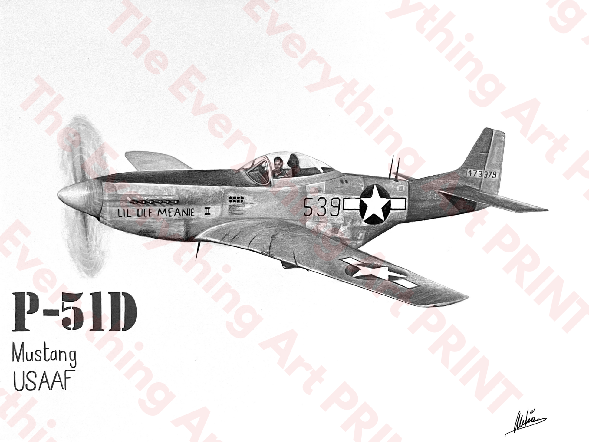 P-51D Mustang Print