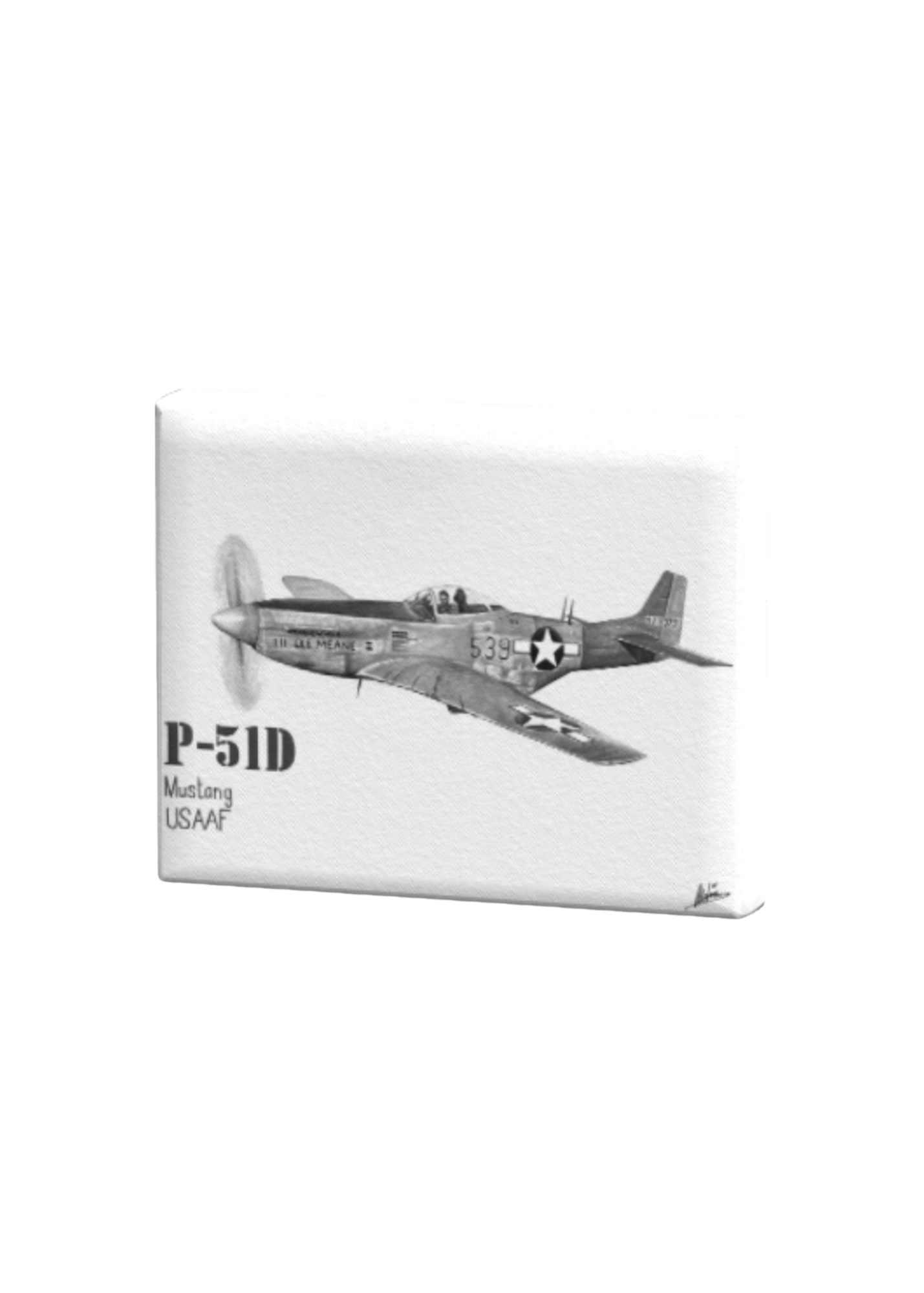P-51D Mustang Print