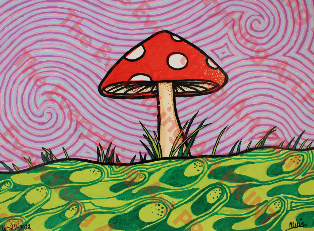Paint Marker Mushroom Illusion Print
