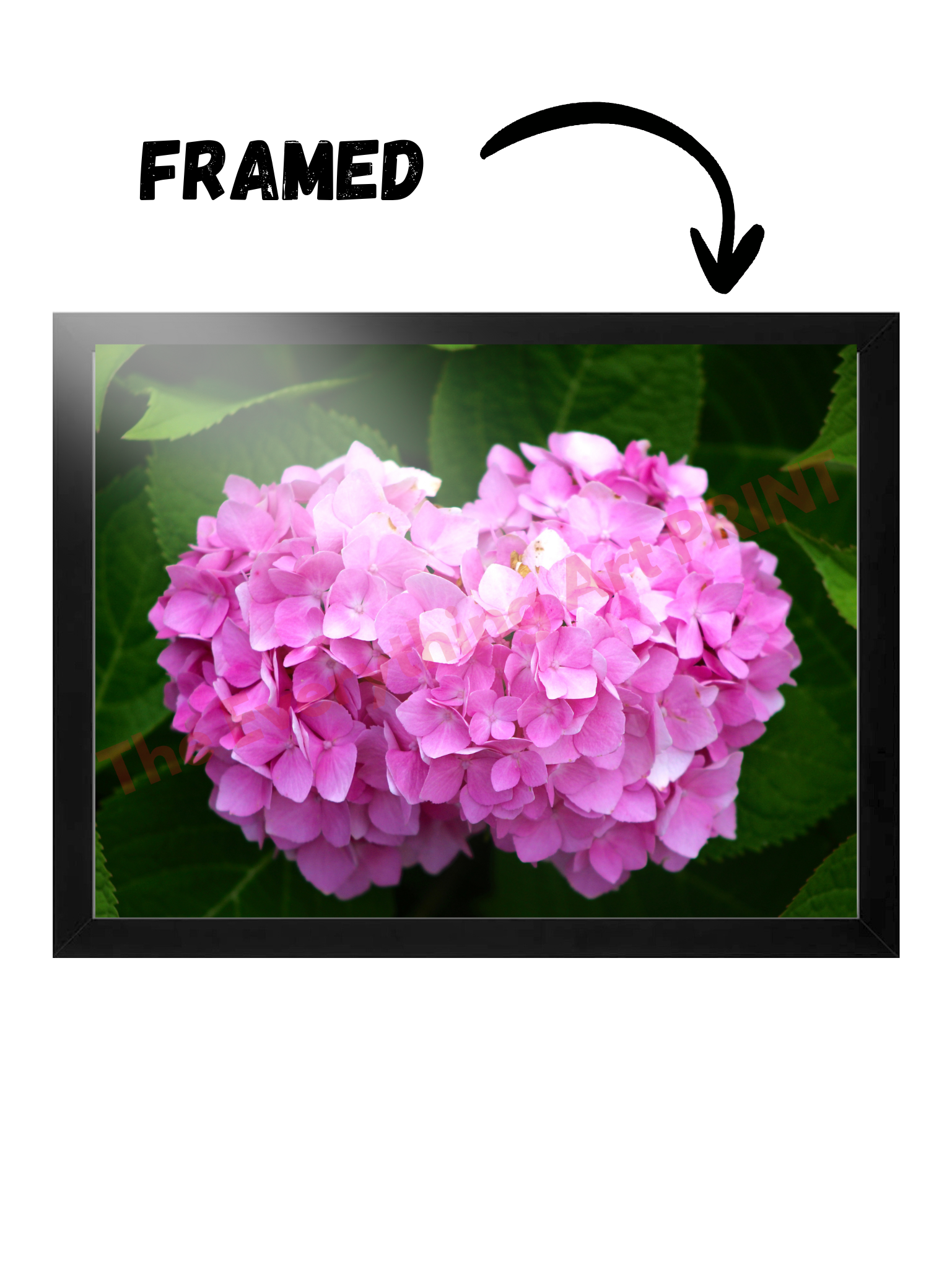 Pink Floral