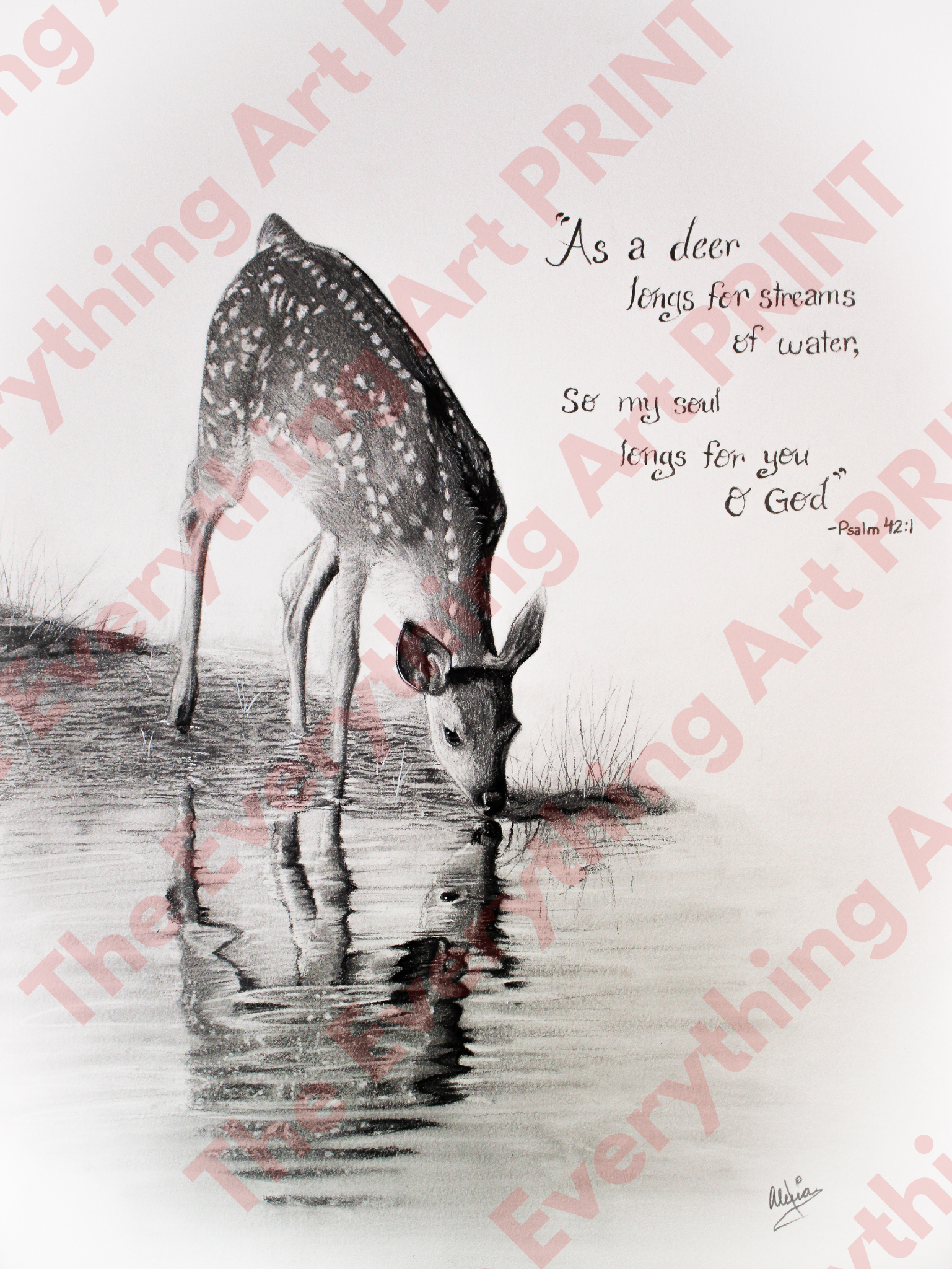 Psalm 42:1 Deer