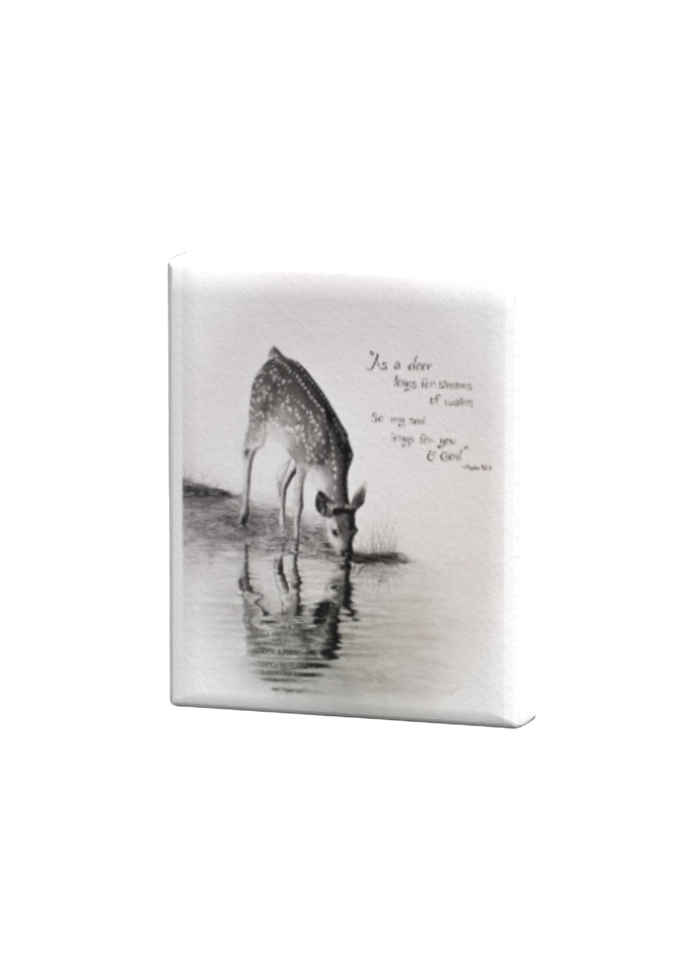 Psalm 42:1 Deer